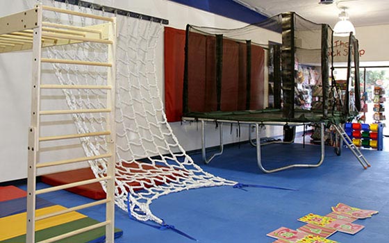WRTS gym interior rope ladder trampoline